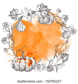 Pumpkin wreath. Hand drawn vector background