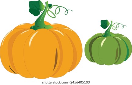 Pumpkin yellow pumpkin and small green pumpkin with leaf of vector image on a white background  