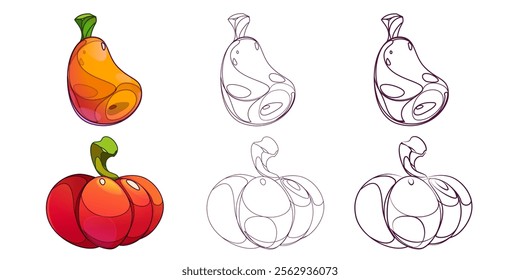 Pumpkin and zucchini. Fruits of yellow pumpkin flat outline drawing. Vector cartoon illustration on white background. Cartoon drawing of pumpkin edible plants. Fruits of autumn season different variet