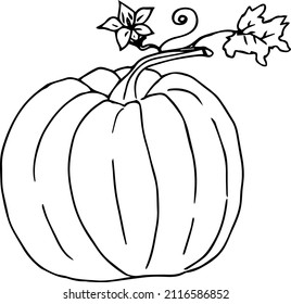 Pumpkin,black and white illustration ,doodles,abstraction,vector.