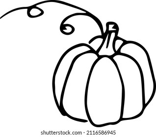 Pumpkin,black and white illustration ,doodles,abstraction,vector.