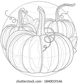 
Pumpkin.Farbbuch Antistress für Kinder und Erwachsene. Illustration einzeln auf weißem Hintergrund.Zen-Winkel-Stil.