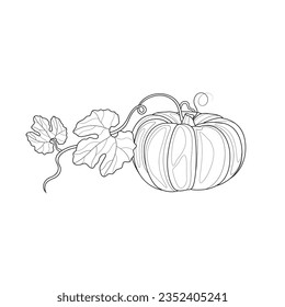 
Pumpkin.Coloring book. Illustration isolated on white background.Zen-tangle style. Hand draw