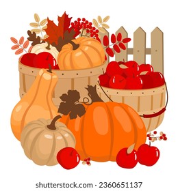 Pumpkins and apples harvest in wicker baskets set. Pumpkins of different characters, autumn leaves, red apples, fence. Illustrated vector clipart.