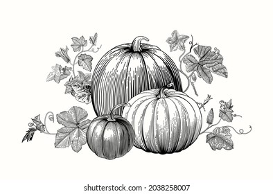 Pumpkins. Autumn composition with pumpkins, leaves and flowers. Vector vintage illustration. Black and white