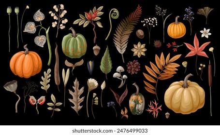 Pumpkins and autumn elements isolated. Vector