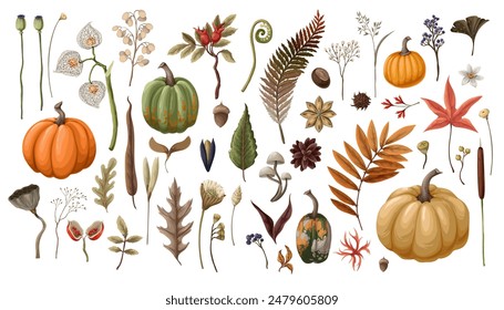 Pumpkins and autumn elements isolated. Vector