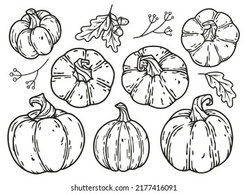 Pumpkins autumn halloween set. October elements for postcard