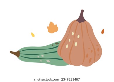 Pumpkins. Autumn pumpkins. Autumn halloween vegetables. Vector illustration.