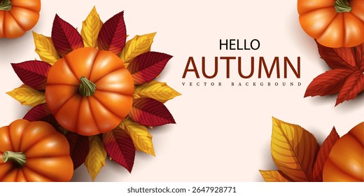 pumpkins and autumn leaves decorative top view background.autumn season and thanksgiving concept banner,background,card and seasonal business advertising backdrop element vector illustration.