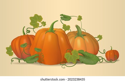 Pumpkins  autumn  pumpkin still life  Vector 