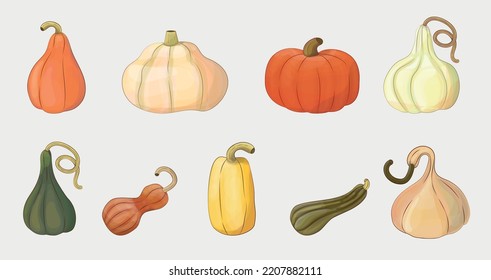 Calabazas en otoño. Calabazas simples creativas, objetos naturales de variedad madura. 