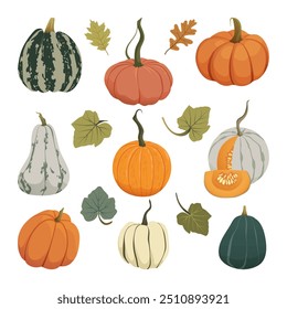 Pumpkins autumn set. Fall harvest gourds of different shapes and colors. Thanksgiving and Halloween pumpkins collection for cards, banners, stickers, and labels. Vector cartoon illustration EPS10.