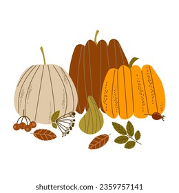 pumpkins autumn still life vector picture in flat style.