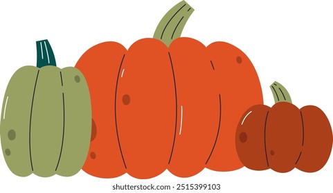 Pumpkins Autumn Vegetables Vector Illustration