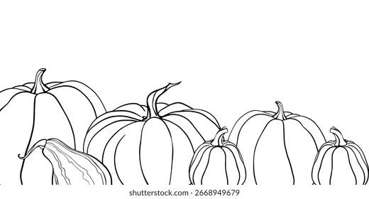 Anuncio de calabazas. Dibujar a mano Bolígrafo y tinta Ilustración vectorial vintage sobre fondo blanco. Contorno Dibujo lineal verduras de otoño. Diseños de grabado para la cosecha de otoño y el día de Acción de Gracias