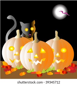 Pumpkins with black cat