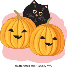 Pumpkins and Black Cat, Halloween. Vector file for Halloween. Illustration with a cat and pumpkins. Autumn card for Halloween