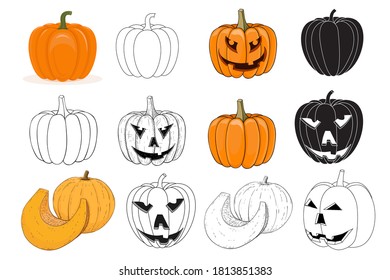 Pumpkins. Black and white sketch. Vector illustration isolated on white background