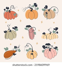 Pumpkins boho set vector illustration with stars isolated on white background. Different shapes and sizes. Muted colors with black outline flat doodle style design