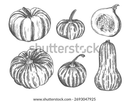 Pumpkins, butternut squash and gourd. Ink sketch collection isolated on white background. Hand drawn vector illustration.