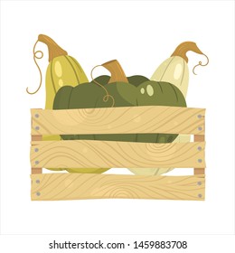 Pumpkins cartoon. Autumn. Seasonal floral maple oak tree orange leaves with gourds for thanksgiving holiday, harvest decoration vector design.