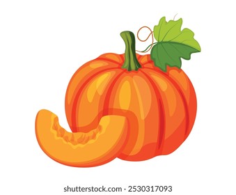 Pumpkins in cartoon style. Vector illustration of orange pumpkin, with seeds, whole, slice, in section, with tendril, stem and green leaves isolated on white background. Autumn harvest.