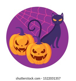 pumpkins with cat in halloween scene vector illustration