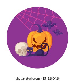 pumpkins with cat in halloween scene vector illustration