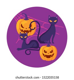 pumpkins with cats in halloween scene vector illustration