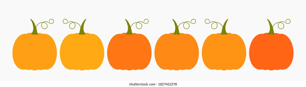 Pumpkins collection border. Vector illustration.