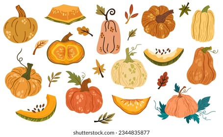 Kürbis-Sammlung. Verschiedene Kürbis, Stücke, Samen, Blätter. Herbst, Ernte, frisches Gemüse, Halloween. Vektorhandzeichnung.