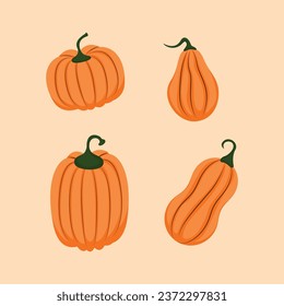 Pumpkins collection premium vector illustration
