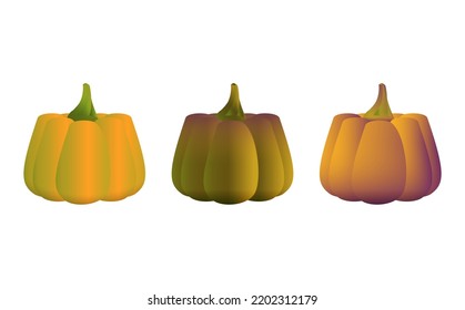 Pumpkins Collection in realistic style. Dark and orange fresh pumpkin. Helloween autumn holiday. Colorful vector illustration isolated on white background.