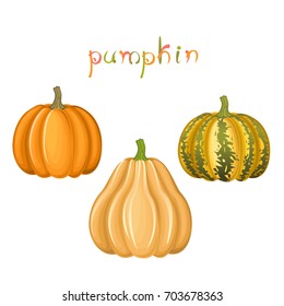 Pumpkins collection. Three kinds of fresh vegetable. Colorful title. Vector illustration.
