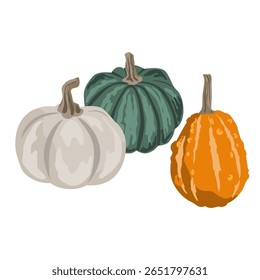 Pumpkins composition isolated on white. Cozy small gourds autumn decoration. Vector squash set illustration.