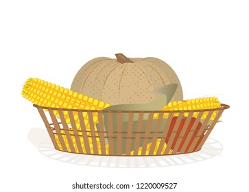 Pumpkins and corns in a wicker basket 