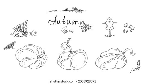 Pumpkins, a country house with a scarecrow, wheelbarrow. Linear vector drawing, sketch.