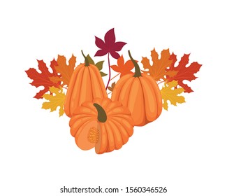 Pumpkins design, Fruit autumn healthy organic food sweet and nature theme Vector illustration