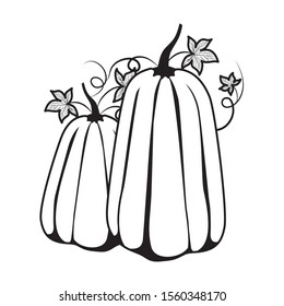 Pumpkins design, Fruit autumn healthy organic food sweet and nature theme Vector illustration