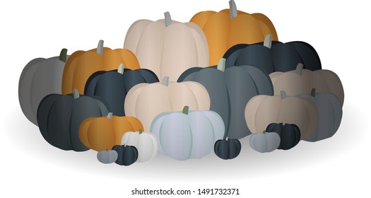 Pumpkins are different colors. Fancy vegetables. Autumn harvest.