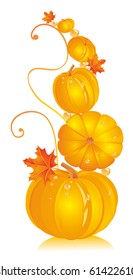 Pumpkins in different kinds with autumn leaves of a maple