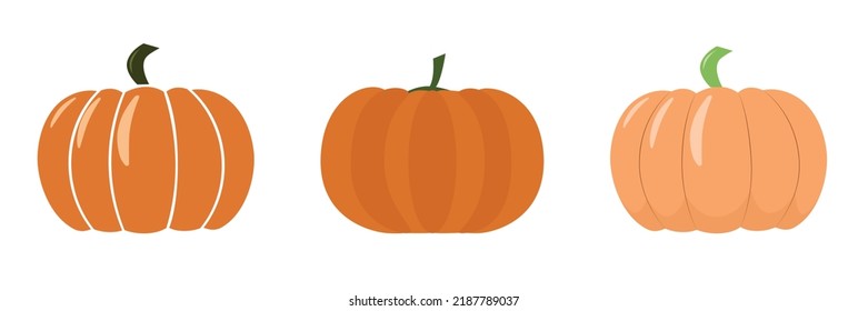 Pumpkins of different shades set. Harvest Festival. Autumn harvest. Vegetables. Environmentally friendly product. Isolated objects on a white background. Vector illustration. Halloween