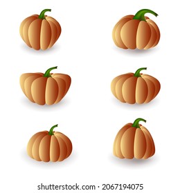 Pumpkins of different shapes with a shadow on a white background. Vector image.