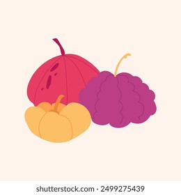 Pumpkins of different shapes vector set. Colorful Halloween, Thanksgiving elements. Cute Bright purple and orange, pink trendy squash