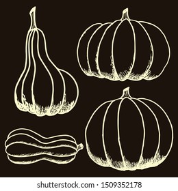 Pumpkins of different sizes on a colored background. Pumpkins Autumn Food.