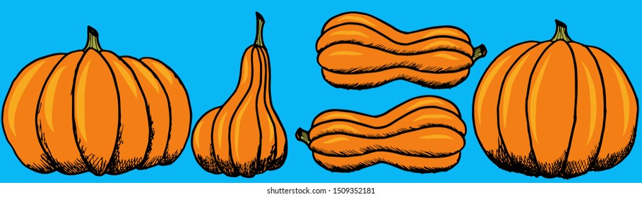 Pumpkins of different sizes on a colored background. Pumpkins Autumn Food.