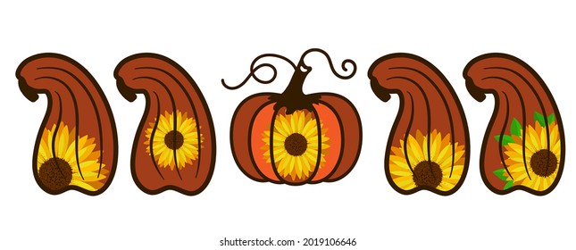 Pumpkins of different varieties decorated with a sunflower flower. Vector illustration