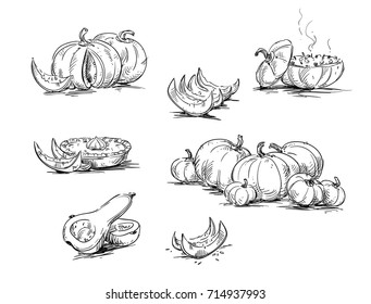 Pumpkins, dishes with pumpkin. Vector sketch.