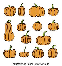 Pumpkins drawing hand drawn set isolated on white background vector